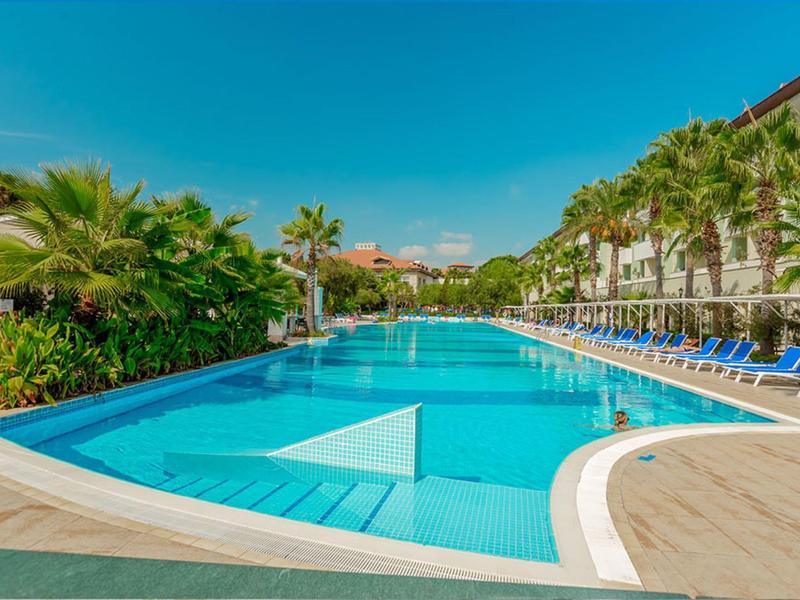 Outdoor pool with sunbeds and palm trees at a resort under a clear blue sky.