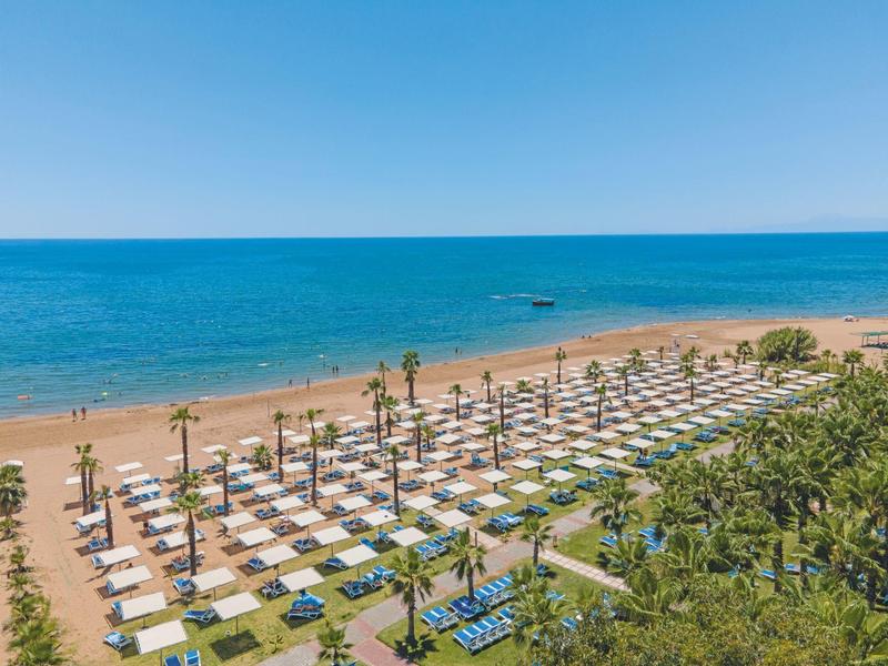 A beach with rows of white sunshades and palm trees by a blue ocean under clear sky.