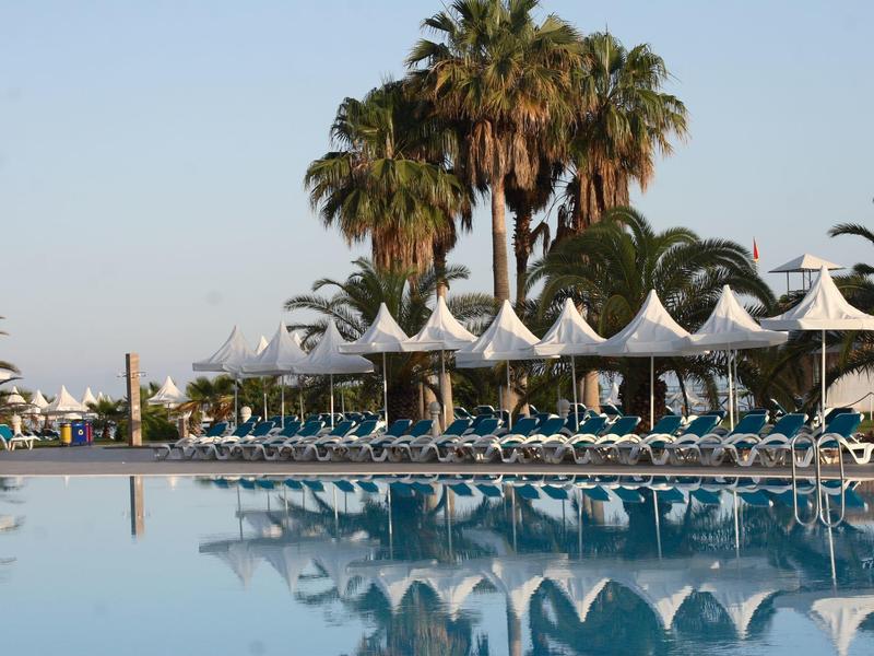 Piscina con tumbonas azules y sombrillas blancas frente a palmeras en un día despejado.