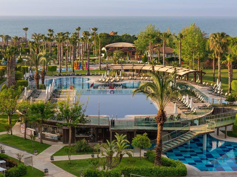 Widok na luksusowy basen otoczony palmami w nadmorskim ośrodku.