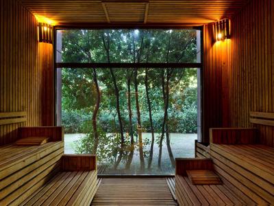 Saunaruimte met houten banken en groot raam met uitzicht op bebost meer