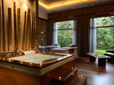 Luxe spa met bubbelbad, massagetafel en comfortabele zithoek bij grote ramen.