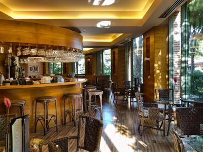 Lichte hotelbar met houten toonbank, barkrukken en zitplaatsen bij grote ramen.