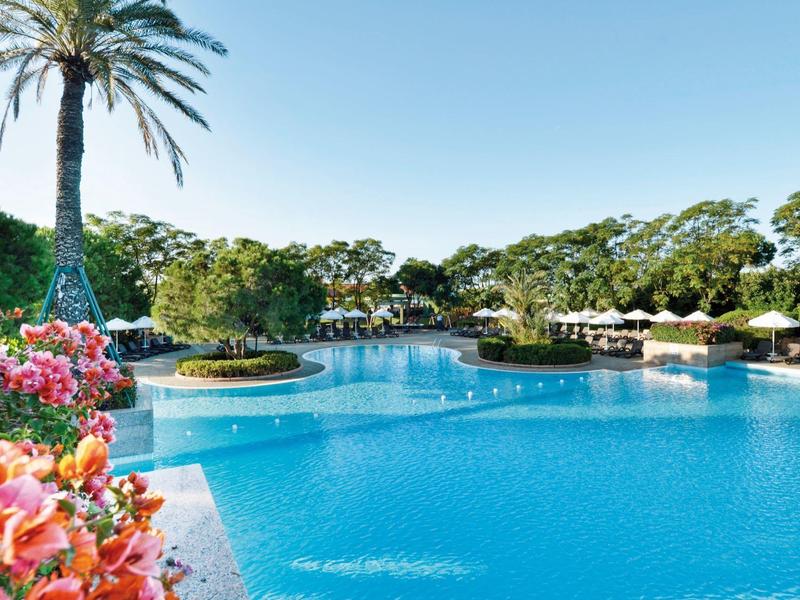 Groot zwembad met palmbomen en kleurrijke bloemen in een tropisch hotelresort.