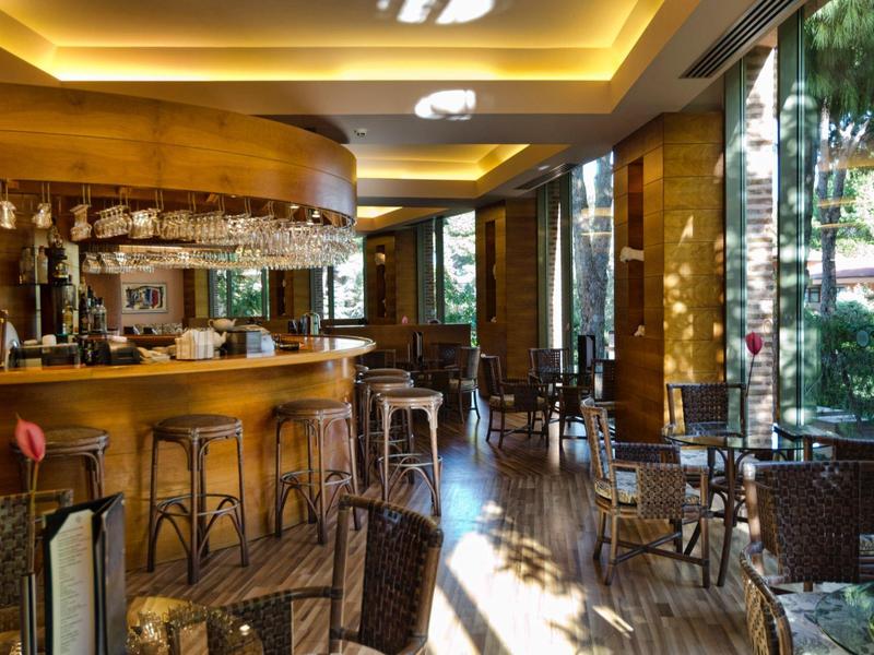 Lichte hotelbar met houten toonbank, barkrukken en zitplaatsen bij grote ramen.