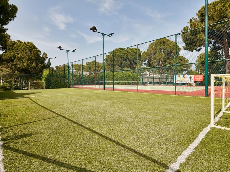 Klein voetbalveld met kunstgras omgeven door bomen, tennisbaan zichtbaar op de achtergrond.
