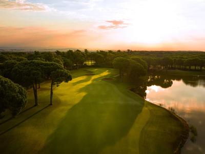 Grüner Golfplatz neben einem ruhigen See bei Sonnenuntergang mit Bäumen im Hintergrund.