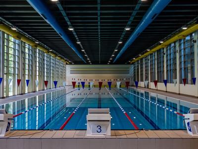 Innenansicht eines großen Schwimmbads mit Startblöcken und glatten Wasserflächen.