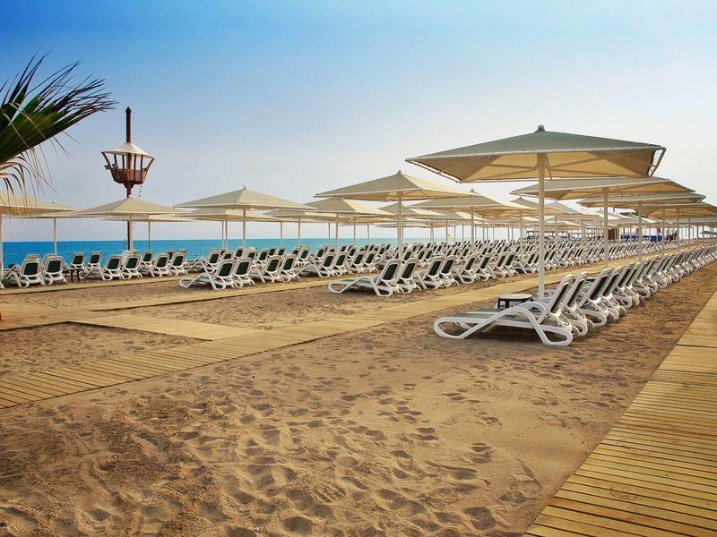 Puste leżaki i parasole na piaszczystej plaży z widokiem na morze pod czystym niebem.