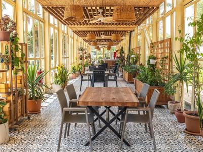 Sunlit conservatory with wooden tables, chairs, and numerous green potted plants.