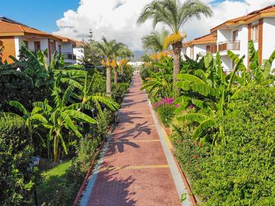 Sentiero tra giardini rigogliosi con palme, fiancheggiato da case vacanze sotto un cielo azzurro.