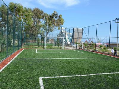 Kleiner Fußballplatz mit grünem Kunstrasen, blauem Himmel und Bäumen im Hintergrund.