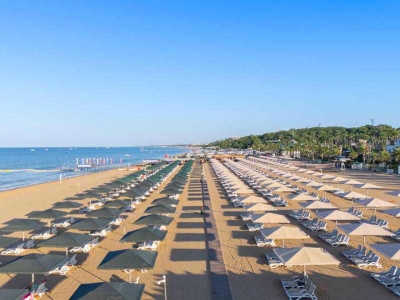 Szeroka piaszczysta plaża z rzędami parasoli i leżaków pod bezchmurnym niebem