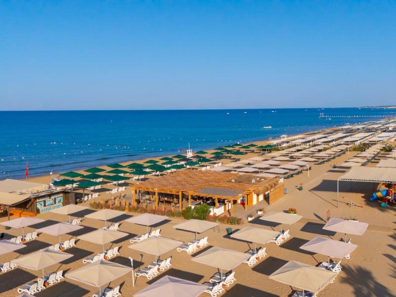 Długa piaszczysta plaża z rzędami parasoli i leżaków nad morzem pod niebieskim niebem.