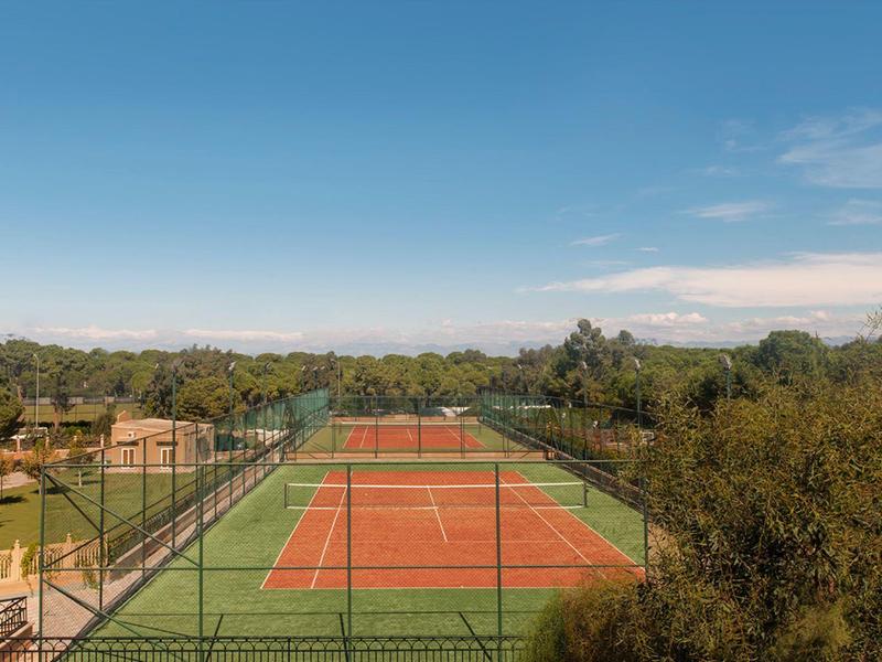 Widok na dwa czerwone korty tenisowe z zielonym ogrodzeniem i drzewami w tle pod niebieskim niebem.