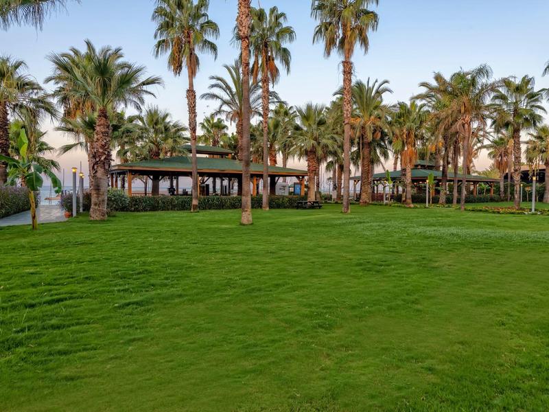 Zelený trávník s palmami a dřevěným pavilonem v tropické zahradě.