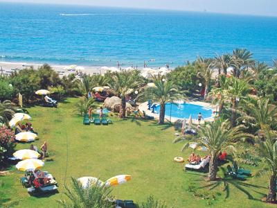 Área verde del hotel con piscina, palmeras y vista directa al mar azul.