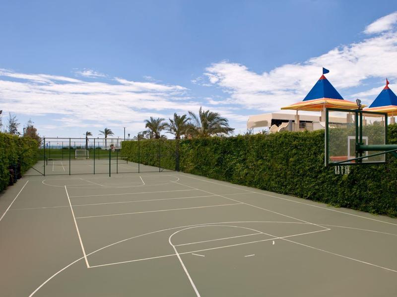 Freiluft-Basketballplatz mit Korb und gepflegten Büschen bei blauem Himmel.