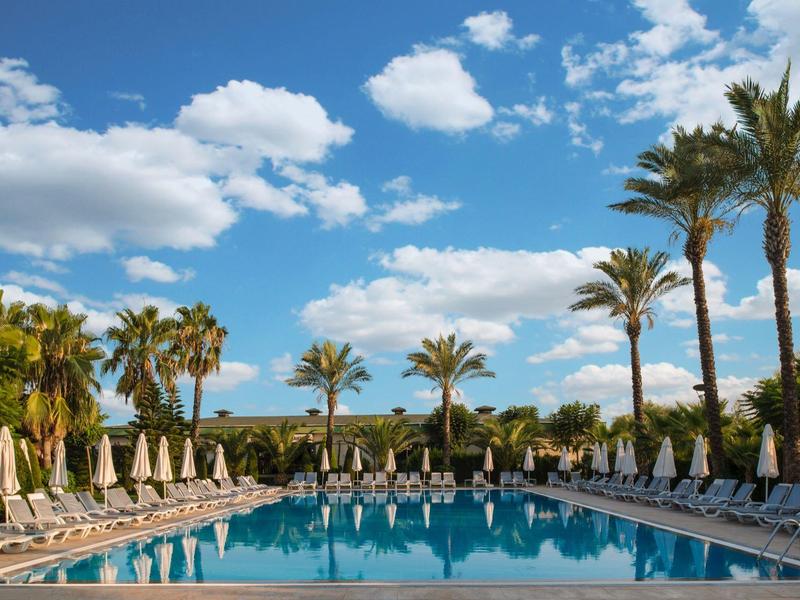 Grande piscine avec palmiers et chaises longues sous un ciel bleu avec des nuages