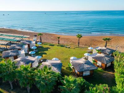 Área verde del hotel con palmeras y tumbonas en la playa de arena con vista al mar tranquila.