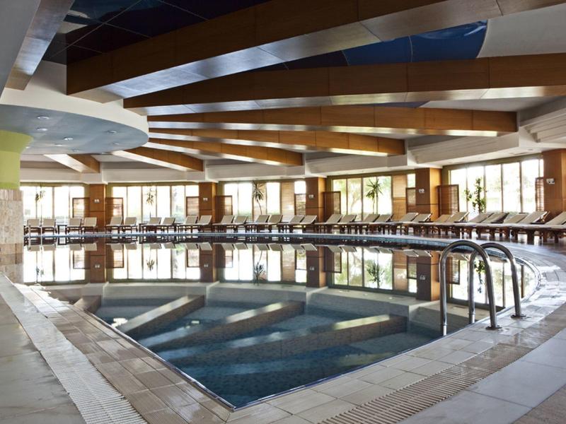 Vue intérieure d'une piscine intérieure moderne avec poutres en bois et chaises longues confortables