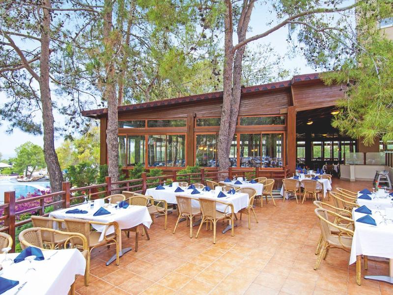 Outdoor restaurant terrace with tables and chairs under tall trees by the water.