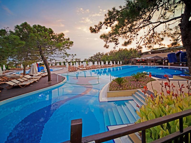 Inviting outdoor pool with sun loungers and plants at sunset.