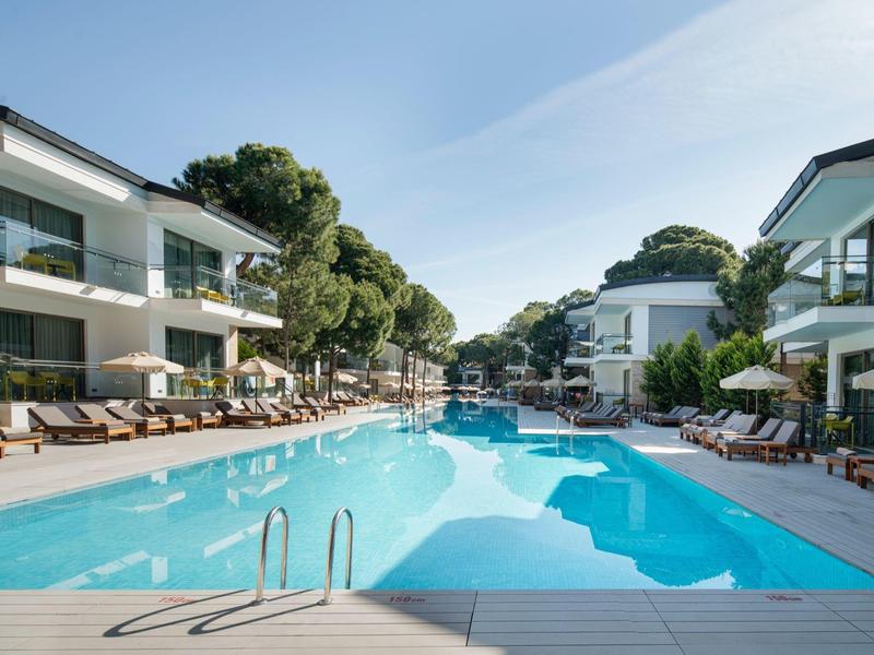 Piscina moderna de hotel con tumbonas y árboles bajo un cielo despejado durante el día.