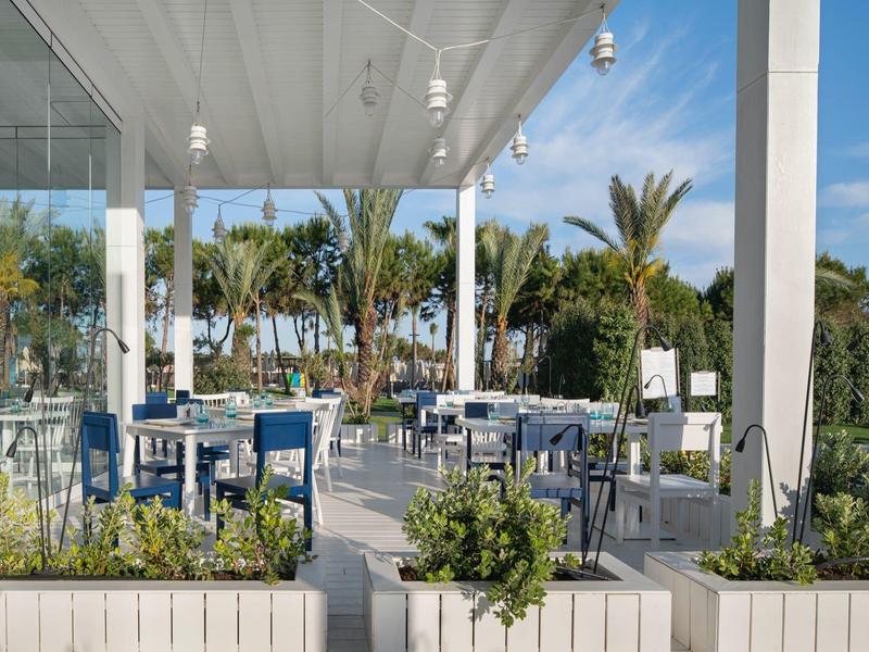 Área de comedor al aire libre con sillas azules y blancas bajo una zona cubierta con vista a palmeras y cielo azul.