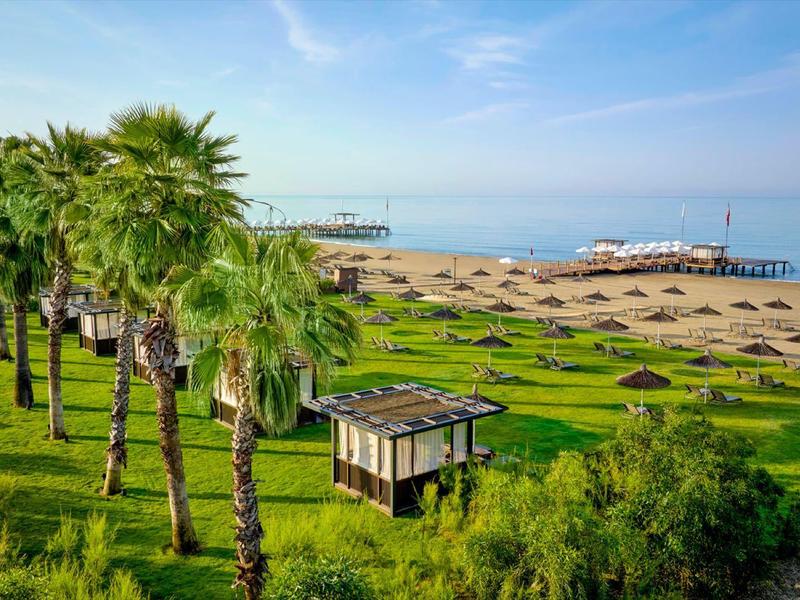 Jardín verde del hotel con palmeras en una playa de arena con sombrillas bajo un cielo azul.