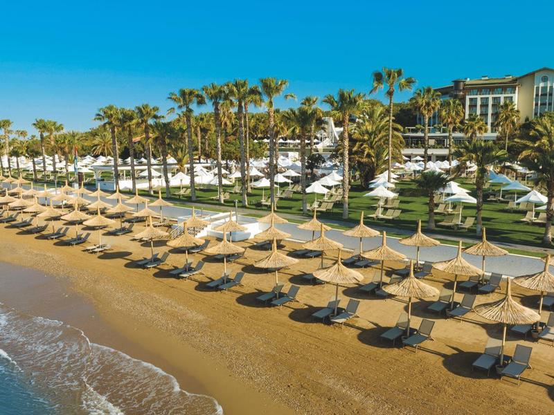 Pláž s řadami slunečníků a lehátek u resortu s palmami