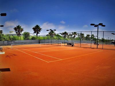 Ein leerer Tennisplatz mit rotem Sand, umgeben von Palmen und blauem Himmel.