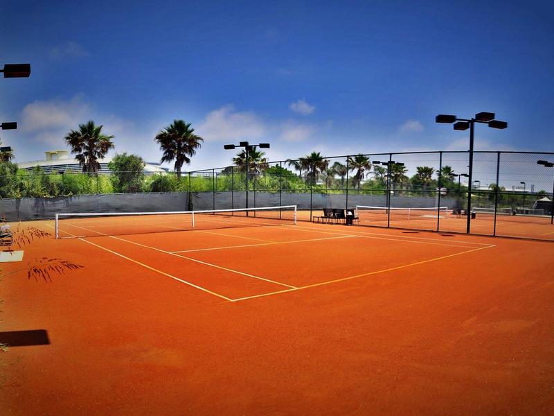 Pista de tenis de tierra batida roja con cercas y palmeras bajo cielo despejado