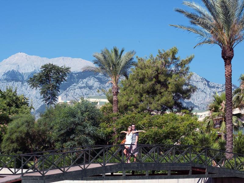 Persoon staat op een kleine houten brug omringd door palmbomen en bergen op de achtergrond.