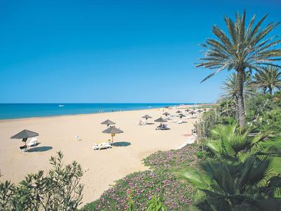 Large plage de sable avec des palmiers et des parasols sous un ciel bleu.