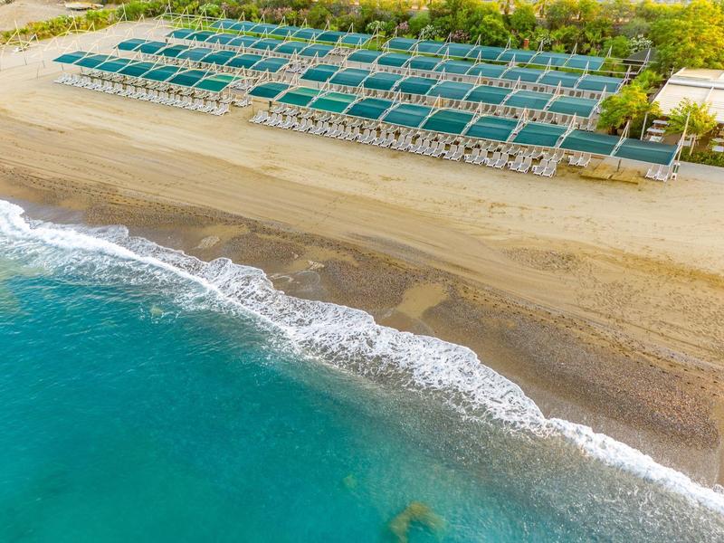 Widok z lotu ptaka na plażę z rzędami leżaków pod zielonymi parasolami.