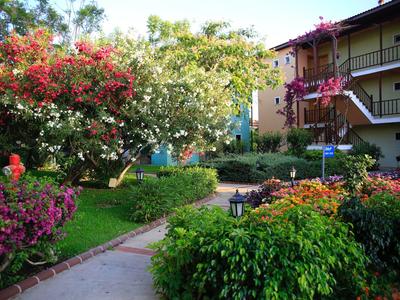Giardino dell'hotel con fiori colorati, cespugli e un sentiero accanto a un edificio di più piani.