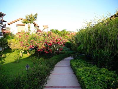 Cesta přes upravenou zahradu s kvetoucími keři vedle hotelových budov.