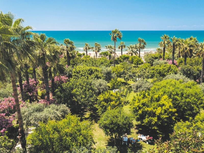 Grüner Palmenhain mit blühenden Büschen vor blauem Meer und hellem Himmel.