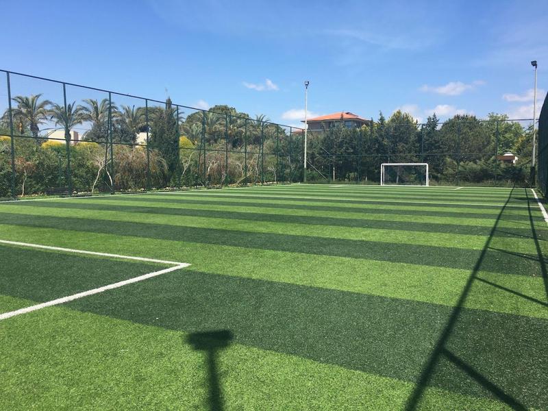 Campo de fútbol verde con portería, rodeado de árboles y cielo azul.