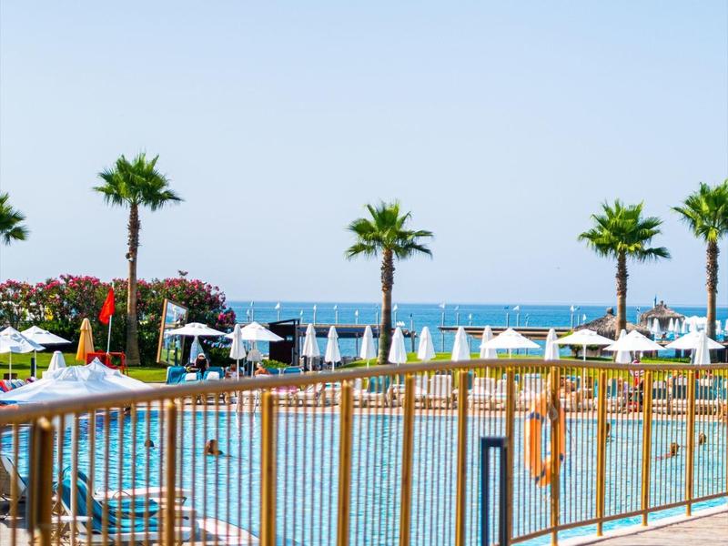 Vue sur une piscine avec des chaises longues et des palmiers au bord de la mer sous un ciel dégagé.