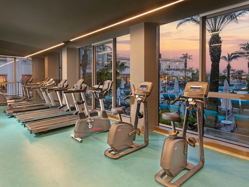 Moderne fitnessapparatuur in lichte ruimte met uitzicht op palmbomen en zonsondergang.