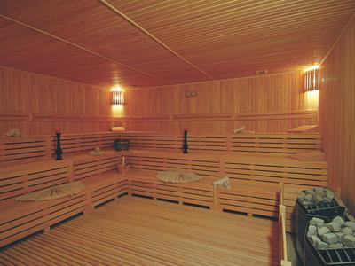 Saunaraum mit Holzverkleidung, mehrstufigen Holzbänken und einem Saunaofen mit Steinen.