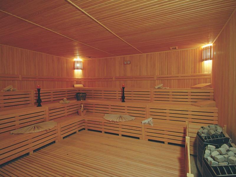 Saunaruimte met houten panelen, trapvormige banken en een saunakachel met stenen.