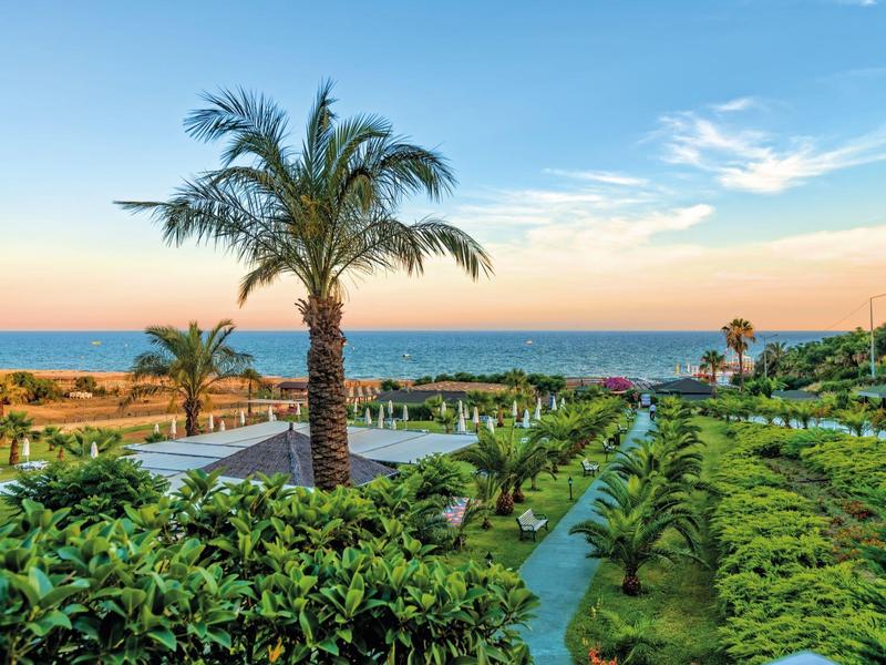 Vue d'un jardin tropical avec des palmiers et la mer en arrière-plan au coucher du soleil.