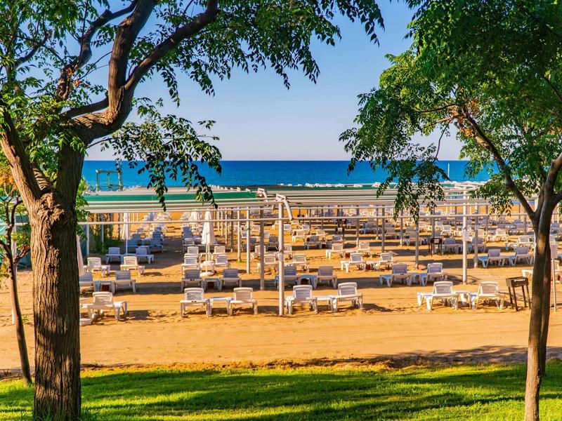 Vue sur une plage avec des chaises longues et des palmiers sous un ciel clair.