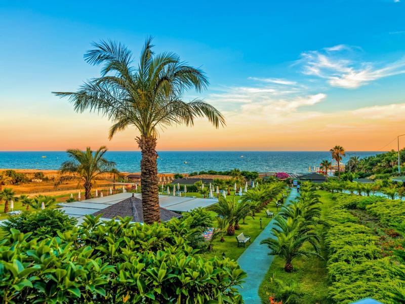 Vue sur un jardin tropical avec des palmiers et la mer en arrière-plan au coucher du soleil.