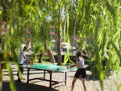 Kolorowe zjeżdżalnie wodne prowadzące do basenu na świeżym powietrzu z leżakami i drzewami w tle.