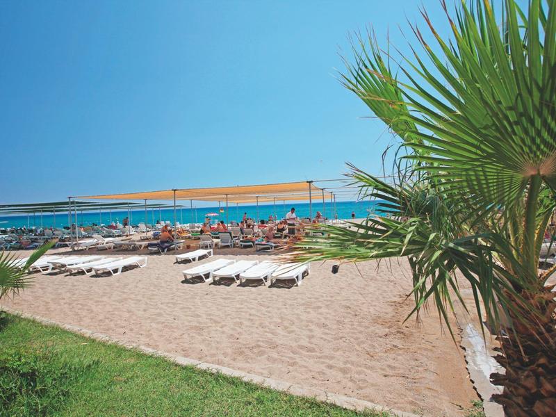 Pláž s lehátky, slunečníky a palmami pod jasně modrou oblohou u moře.