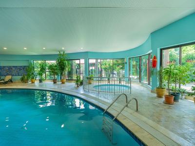 Innen-Pool mit umgebenden Pflanzen und Liegestühlen in einem modernen Hotelraum.